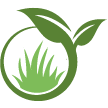Cape Coral Lawn Clean Up