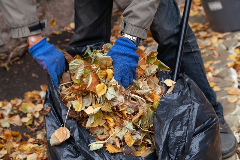 Autumn Lawn Debris Collection