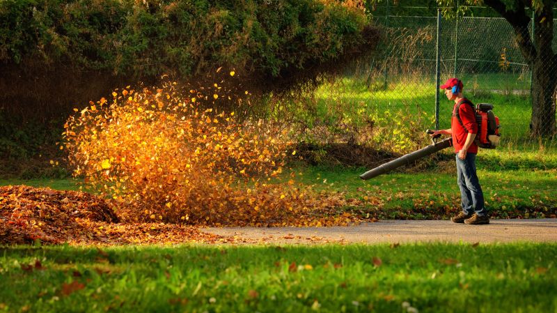 Professional Fall Leaf Clearing