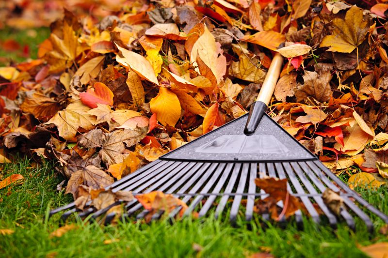 Autumn Yard Care Tools