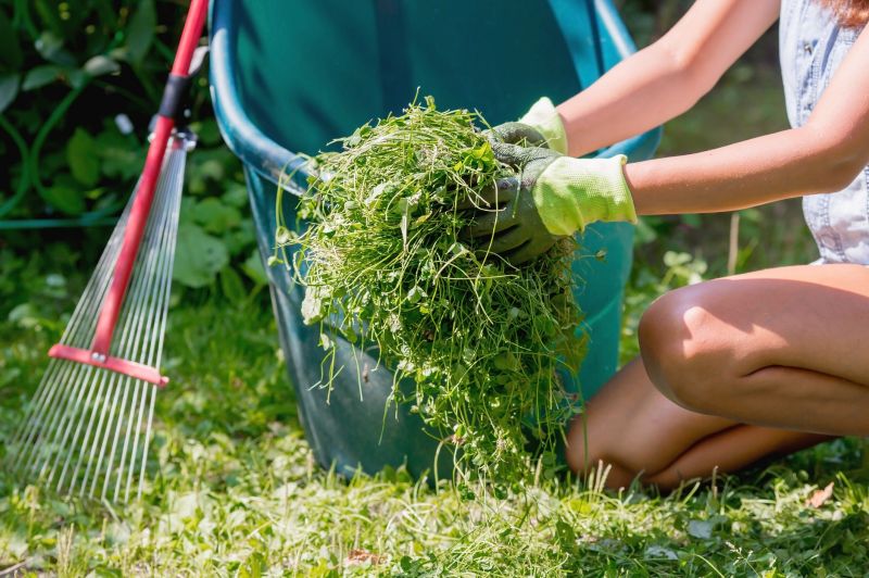 Preparing Your Yard for Seasons