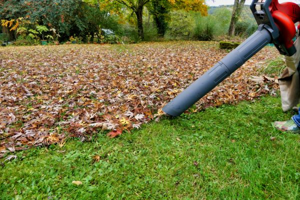 Leaf Vacuuming Service in Cape Coral