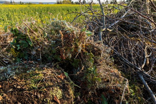 Brush Disposal in Cape Coral
