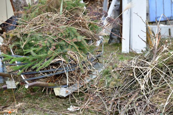 Yard Waste Removal Service in Cape Coral