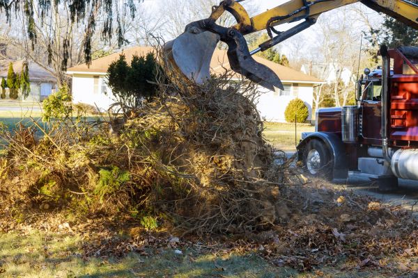 Storm Debris Removal in Cape Coral