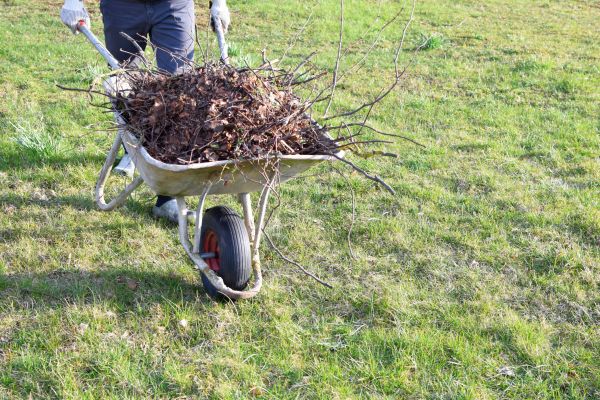 Yard Brush Removal in Cape Coral
