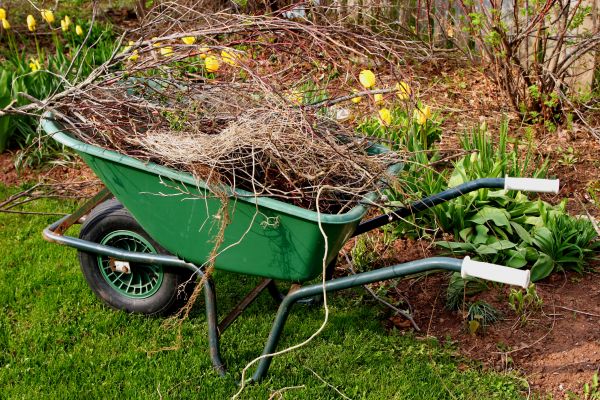 Lawn Waste Removal in Cape Coral