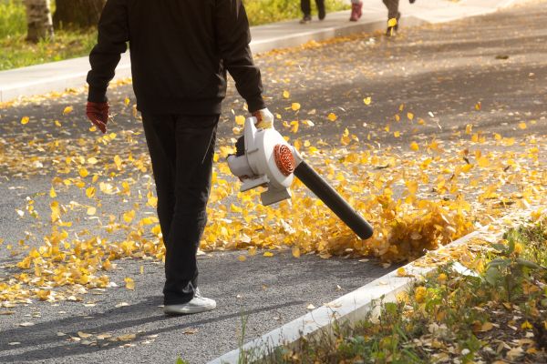 Commercial Leaf Removal in Cape Coral